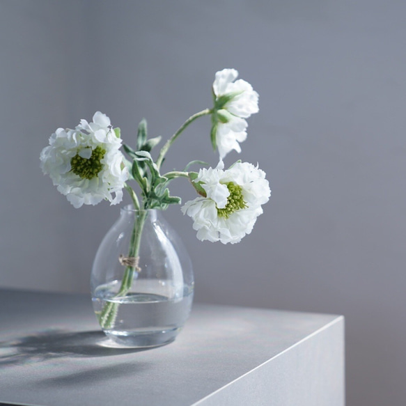 スカビオサの花瓶挿し（枯れない・水換え不要） 一輪挿し・花瓶・花器