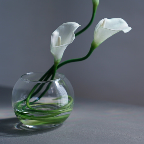 水換え不要）カラーの丸ガラスアレンジ花瓶挿し アートフラワー