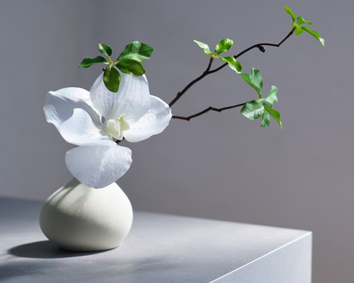 濃紺の孔雀絵花瓶と花器セット 楽天市場】孔雀 花瓶の通販