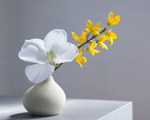 42d76bcabfd4c20b35364989fb9628