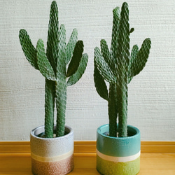 40b5525fcb0388460907fce4a9675f