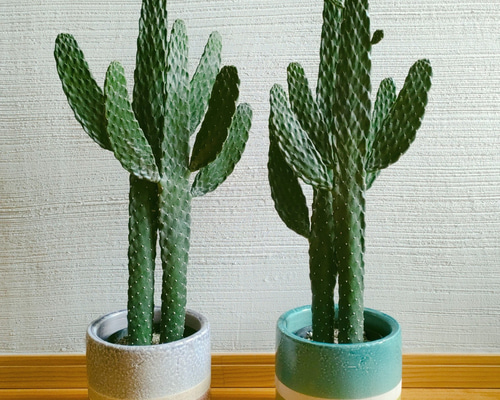 40b5525fcb0388460907fce4a9675f