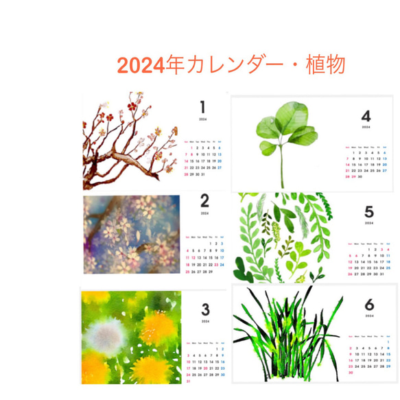 2024年１月カレンダー【植物・草】＊送料無料 4枚目の画像