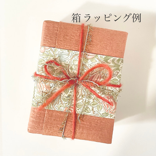 雪うさぎページ　＊お取り置き中 楽天市場】【1000円OFFクーポン獲得！】 AORTD ペットケージ