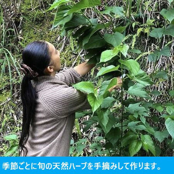 奄美かけろま島ハーブ 玄米カイロ『あいのめぐり』 3枚目の画像