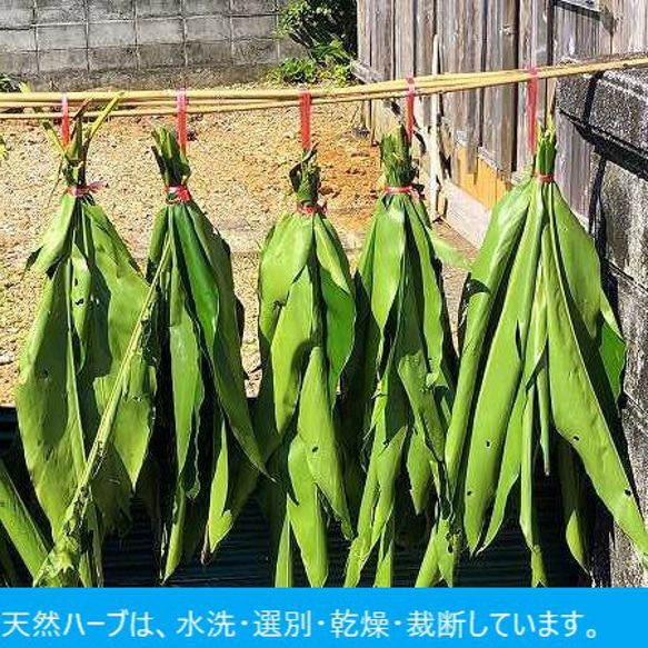 奄美かけろま島ハーブ 玄米カイロ『あいのめぐり』 4枚目の画像