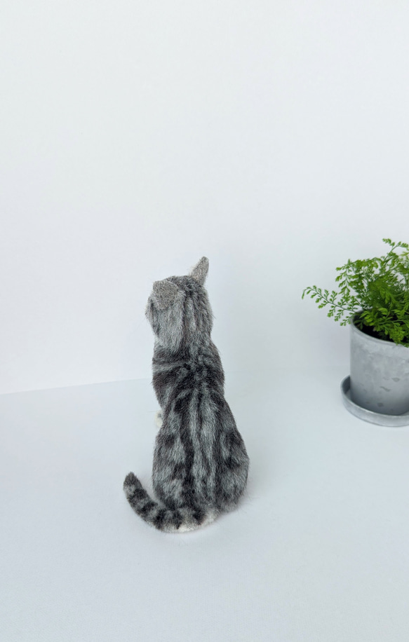 アメリカンショートヘア　羊毛フェルト　ぬいぐるみ　猫　置き物　送料無料　猫の日2024 4枚目の画像