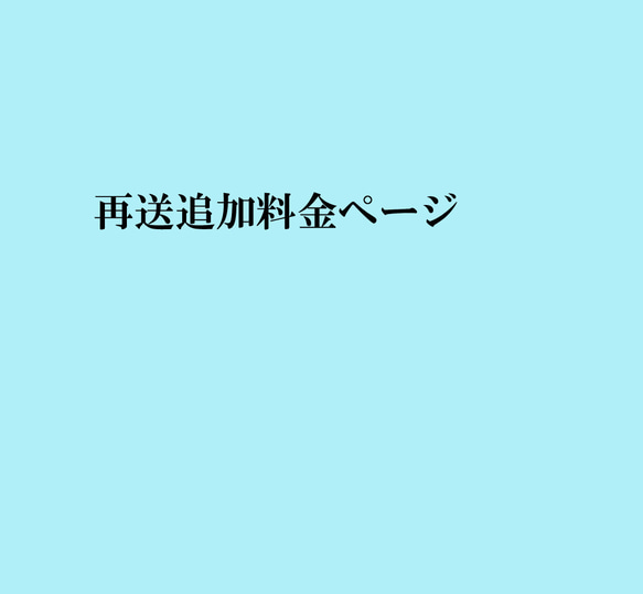 再送料金ページ 1枚目の画像