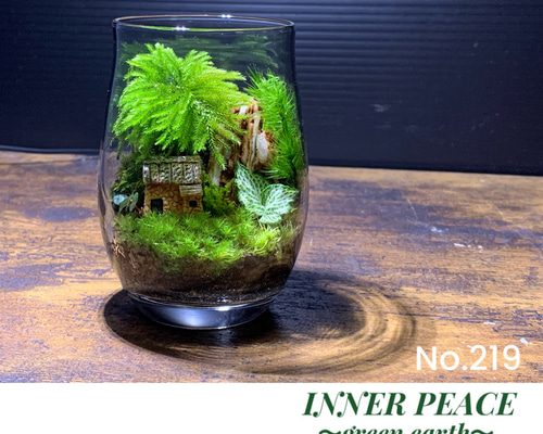 253 苔アート 苔テラリウム 完成品 テラリウム ✴︎green earth