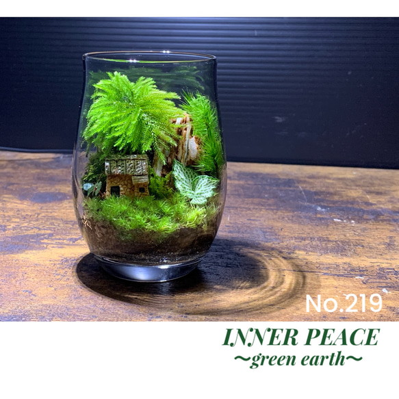 219 苔アート 苔テラリウム テラリウム 送料込み テラリウム