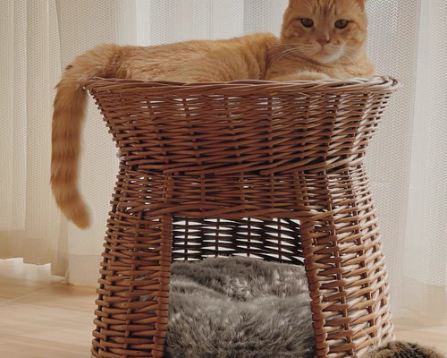 e40989372ad4eee1ff1ca275954879