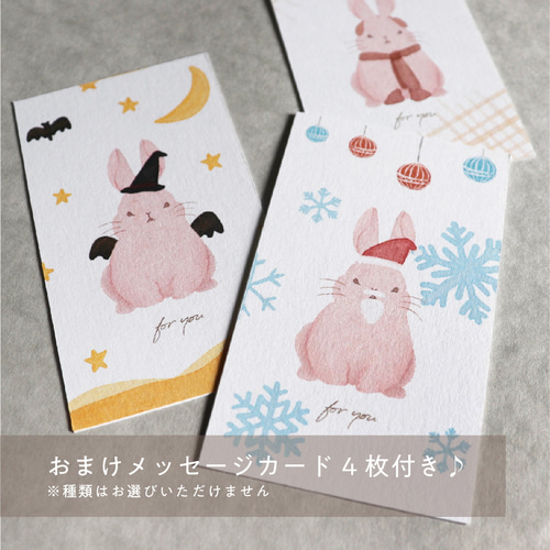 2024カレンダー うさぎ 卓上カレンダー カレンダー mamo 通販 16636380