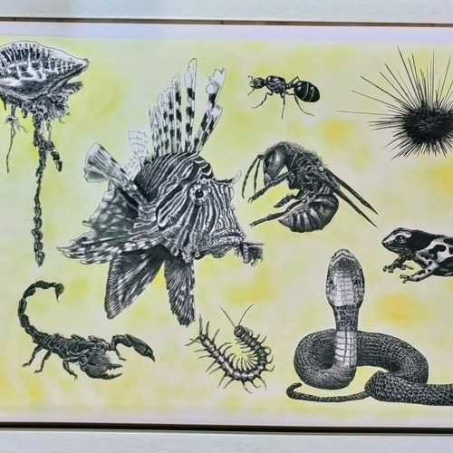 原画 ペン画 危険な生き物たち B3サイズ 額付き 絵画