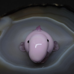 ガラスの深海生物・ちっこいおっさん魚（ニュウドウカジカ）　２匹目 1枚目の画像