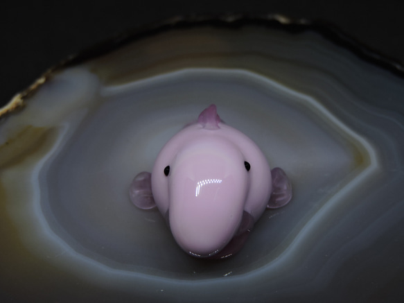 生物細密画（水彩）「イシガニ Amazon.co.jp: 生物細密画（水彩）「イシガニ : おもちゃ