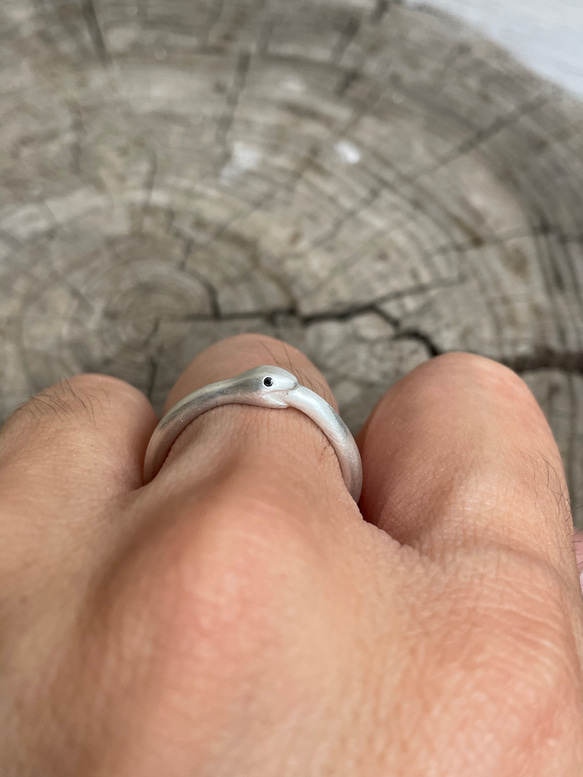 KING KROACH★OUROBOROS RING ボールドリング OUROBOROS RING - KingKroach | 60% - Asian Fashion Online Store