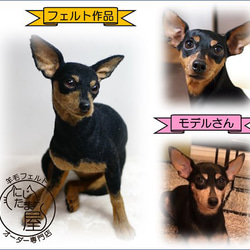 「為我的寵物訂製羊毛氈」狗貓毛絨玩具真實寵物比格犬吉娃娃臘腸犬巴比龍 第14張的照片