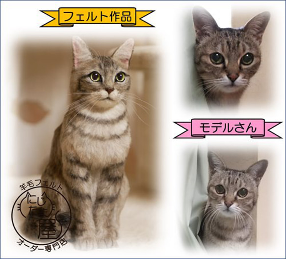 「為我的寵物訂製羊毛氈」狗貓毛絨玩具真實寵物比格犬吉娃娃臘腸犬巴比龍 第12張的照片