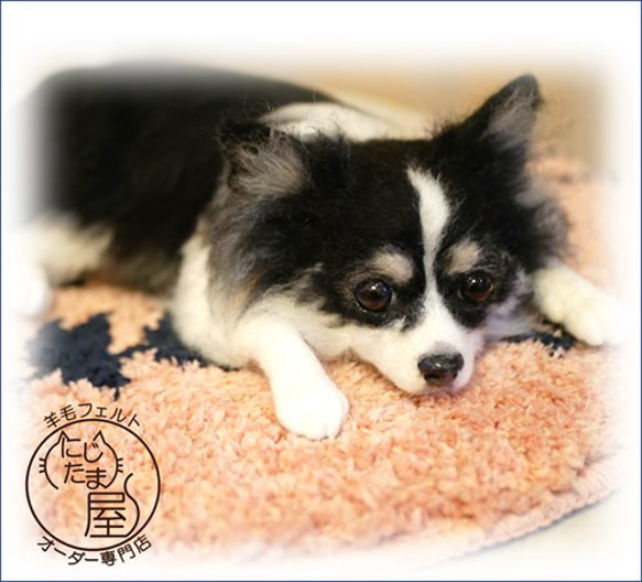 「為我的寵物訂製羊毛氈」狗貓毛絨玩具真實寵物比格犬吉娃娃臘腸犬巴比龍 第5張的照片