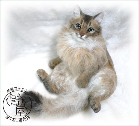 「為我的寵物訂製羊毛氈」狗貓毛絨玩具真實寵物比格犬吉娃娃臘腸犬巴比龍 第3張的照片