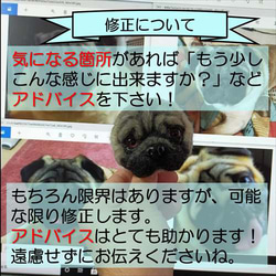 「為我的寵物訂製羊毛氈」狗貓毛絨玩具真實寵物比格犬吉娃娃臘腸犬巴比龍 第20張的照片