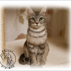 「為我的寵物訂製羊毛氈」狗貓毛絨玩具真實寵物比格犬吉娃娃臘腸犬巴比龍 第11張的照片