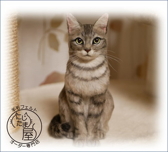 「為我的寵物訂製羊毛氈」狗貓毛絨玩具真實寵物比格犬吉娃娃臘腸犬巴比龍 第11張的照片