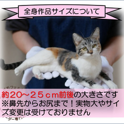 「為我的寵物訂製羊毛氈」狗貓毛絨玩具真實寵物比格犬吉娃娃臘腸犬巴比龍 第19張的照片