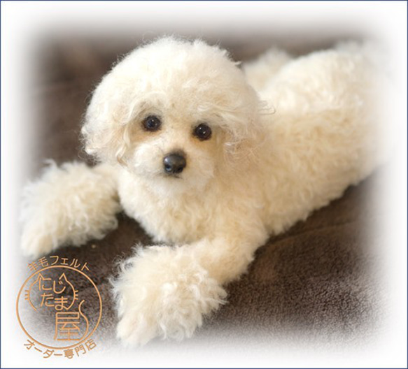 「為我的寵物訂製羊毛氈」狗貓毛絨玩具真實寵物比格犬吉娃娃臘腸犬巴比龍 第9張的照片