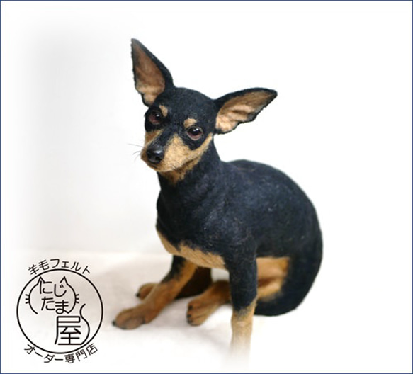 「為我的寵物訂製羊毛氈」狗貓毛絨玩具真實寵物比格犬吉娃娃臘腸犬巴比龍 第13張的照片