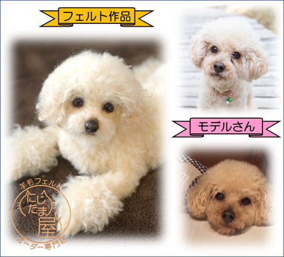 「為我的寵物訂製羊毛氈」狗貓毛絨玩具真實寵物比格犬吉娃娃臘腸犬巴比龍 第10張的照片