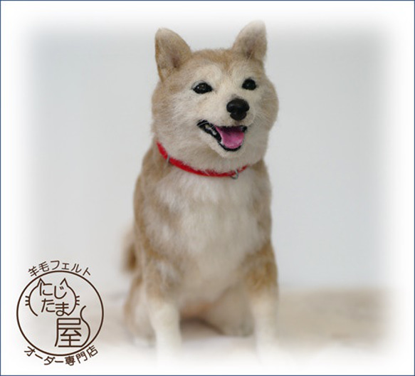 「為我的寵物訂製羊毛氈」狗貓毛絨玩具真實寵物比格犬吉娃娃臘腸犬巴比龍 第17張的照片