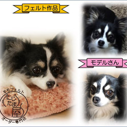 「為我的寵物訂製羊毛氈」狗貓毛絨玩具真實寵物比格犬吉娃娃臘腸犬巴比龍 第6張的照片