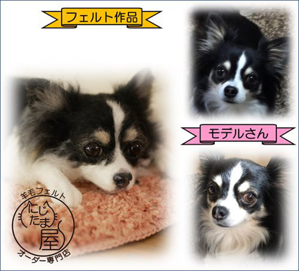 「為我的寵物訂製羊毛氈」狗貓毛絨玩具真實寵物比格犬吉娃娃臘腸犬巴比龍 第6張的照片