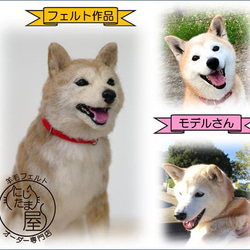 「為我的寵物訂製羊毛氈」狗貓毛絨玩具真實寵物比格犬吉娃娃臘腸犬巴比龍 第18張的照片