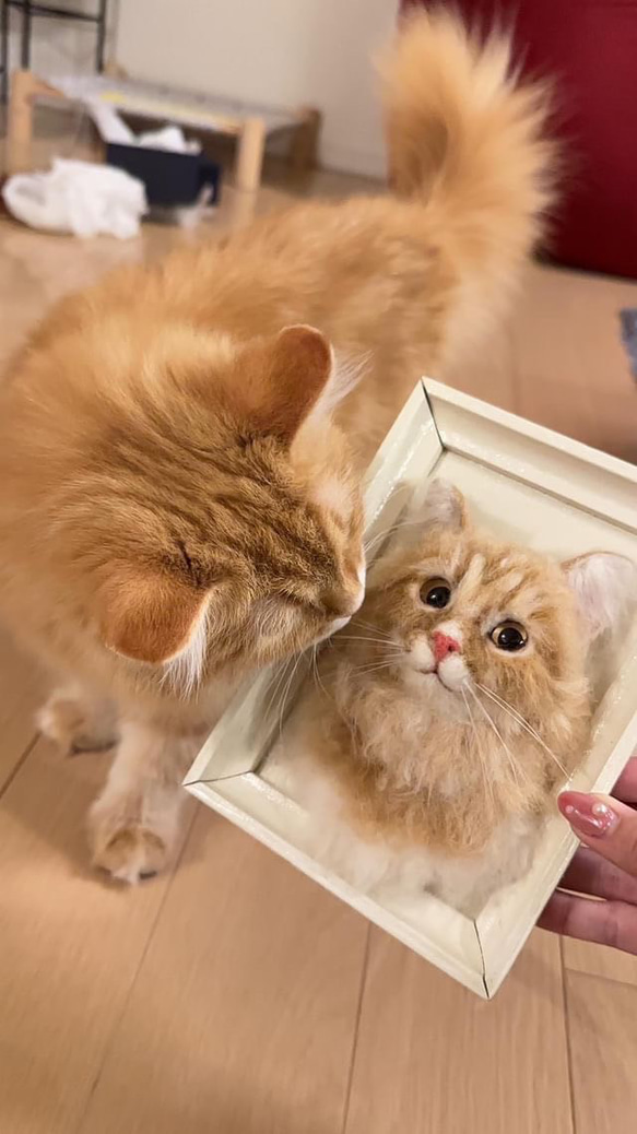 羊毛フェルト猫　【子守り猫ちゃん】 羊毛フェルトから生まれる猫の肖像 「わくねこ」の作り方