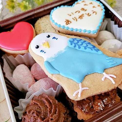 可愛いインコクッキー缶(青) スイーツ・お菓子・パン CAN