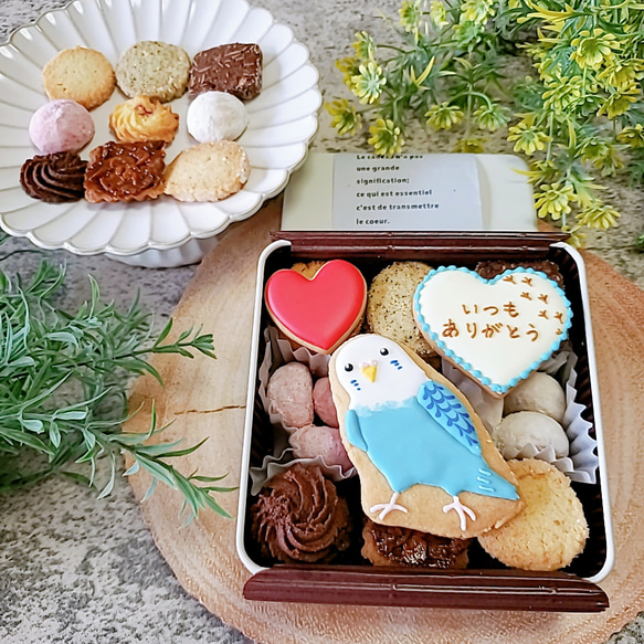 ハンドメイド トリカゴインコのショコラクッキーバッグ 可愛いインコクッキー缶(青) スイーツ・お菓子・パン CAN