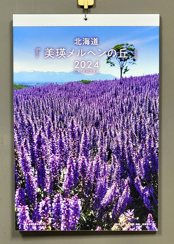 2024 北海道『美瑛メルヘンの丘』カレンダー　壁掛けタイプ 1枚目の画像