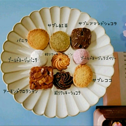可愛いインコクッキー缶(黄緑) 5枚目の画像