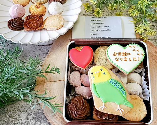 ハンドメイド トリカゴインコのショコラクッキーバッグ 066954dfc3c63f12b7732f131b4af9