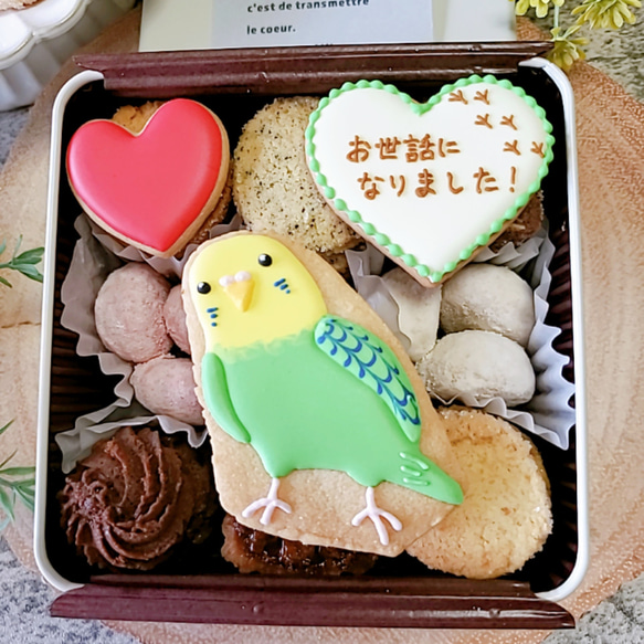 可愛いインコクッキー缶(黄緑) 2枚目の画像