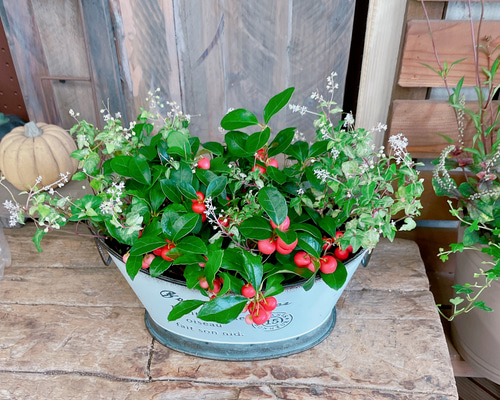 c65ac767a866d281bc90e32c9b59bf