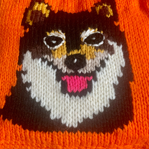 わんこお散歩トートバッグ 手編み 犬イラスト オーダーメイド 名前入り