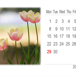 2024年カレンダー 日本の四季 月曜始まり（卓上、壁掛けケース付き） 8枚目の画像