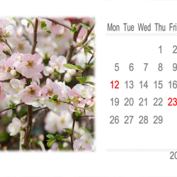 2024年カレンダー 日本の四季 月曜始まり（卓上、壁掛けケース付き） 6枚目の画像