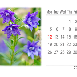 2024年カレンダー 日本の四季 月曜始まり（卓上、壁掛けケース付き） 12枚目の画像