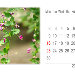 2024年カレンダー 日本の四季 月曜始まり（卓上、壁掛けケース付き） 13枚目の画像