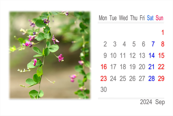 2024年カレンダー 日本の四季 月曜始まり（卓上、壁掛けケース付き） 13枚目の画像