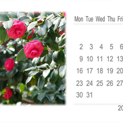 2024年カレンダー 日本の四季 月曜始まり（卓上、壁掛けケース付き） 16枚目の画像